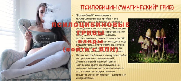 кокаин перу Каменногорск