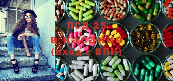 2c-b Инсар