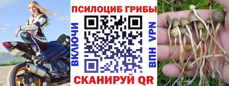 гидра сайт  Карабаш  Галлюциногенные грибы Cubensis 